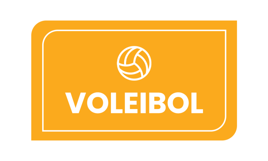 voleibol